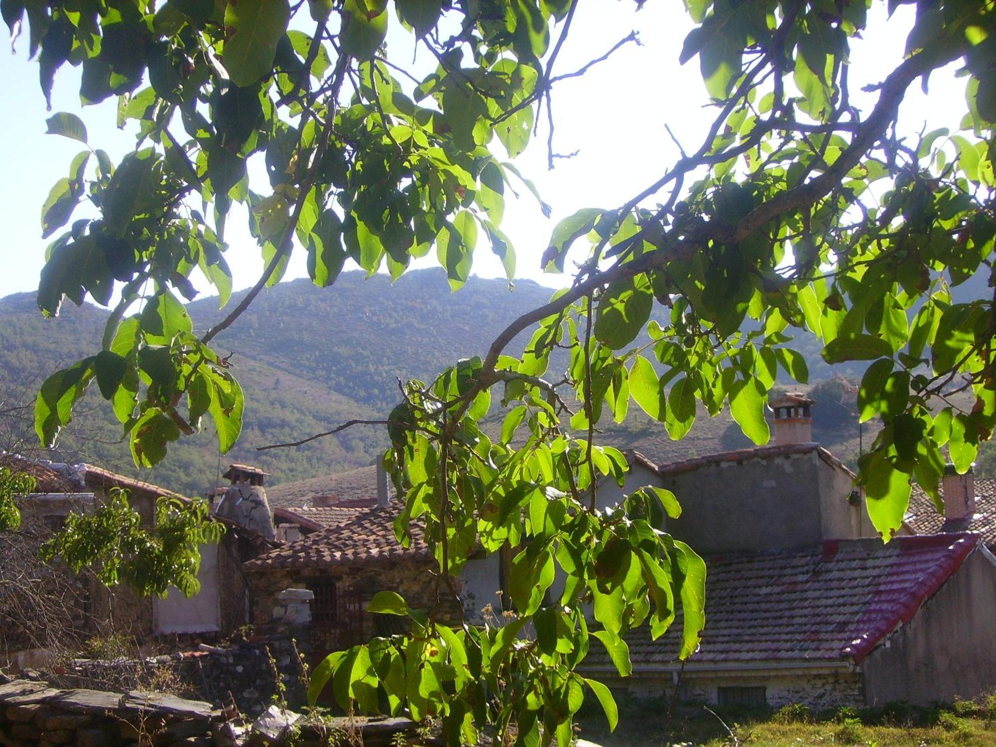 Madre Terra Casa de hóspedes La Puebla de la Sierra Exterior foto